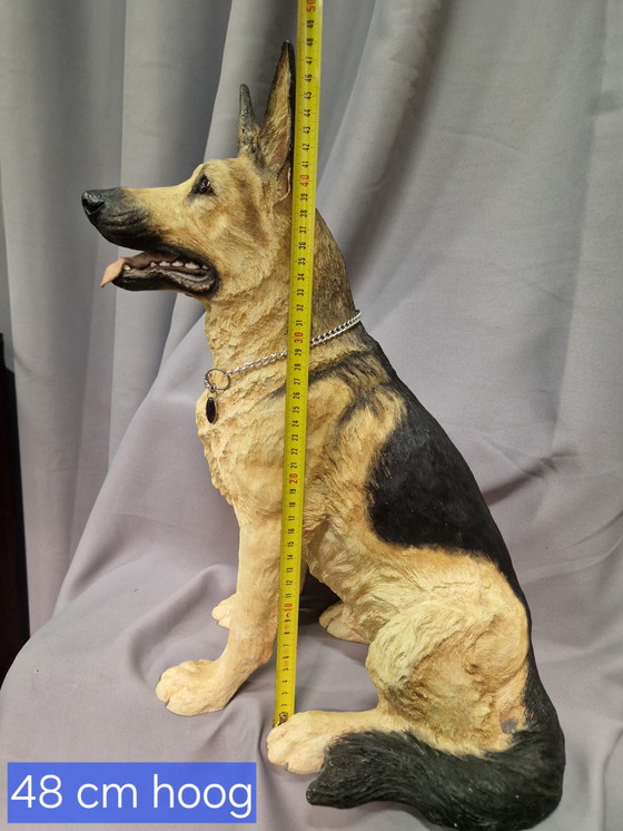 Image 1 of Cane da pastore del focolare