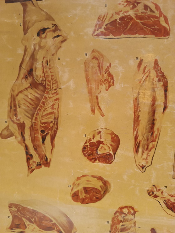 Image 1 of Schulplakat Metzgerschule „Het Rund“