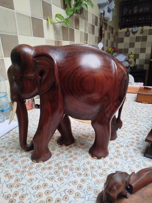 Gros éléphant