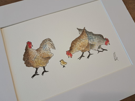 Acquerello raffigurante galline con pulcino | Originale incorniciato