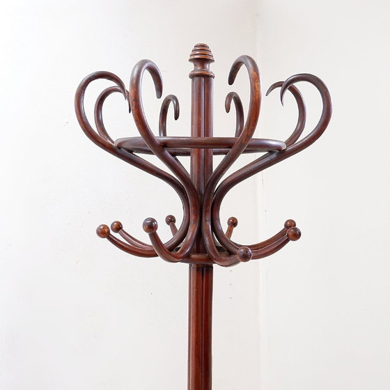 Image 1 of Grote kapstok van gebogen hout in de stijl van een papegaai, in de Thonet-uitvoering – begin 20e eeuw