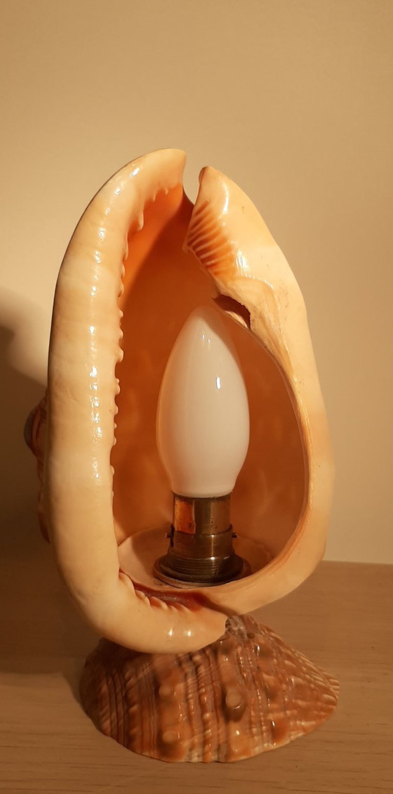 Image 1 of Cameo shell shade. Schelp tafellamp  jaren 20/30
