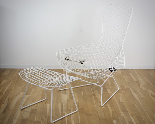Knoll Int. Bertoia Bird Chair with ottoman in white