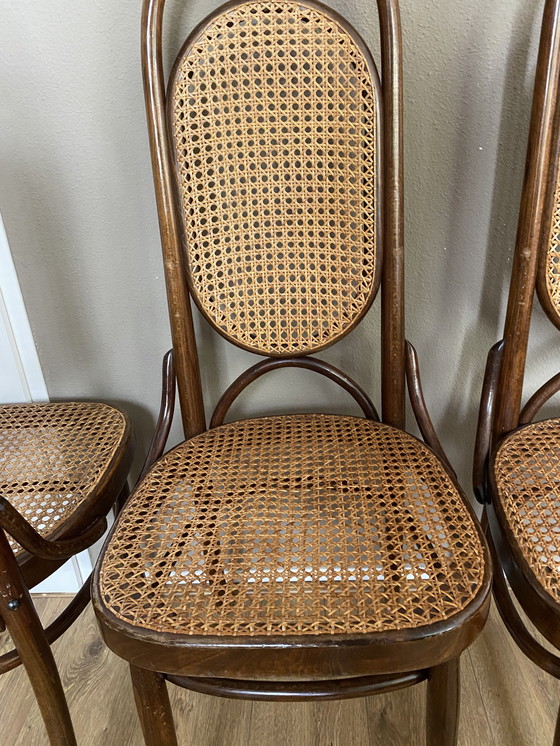 Image 1 of 4 sedie vintage in stile Thonet con cinghie Lange Jan