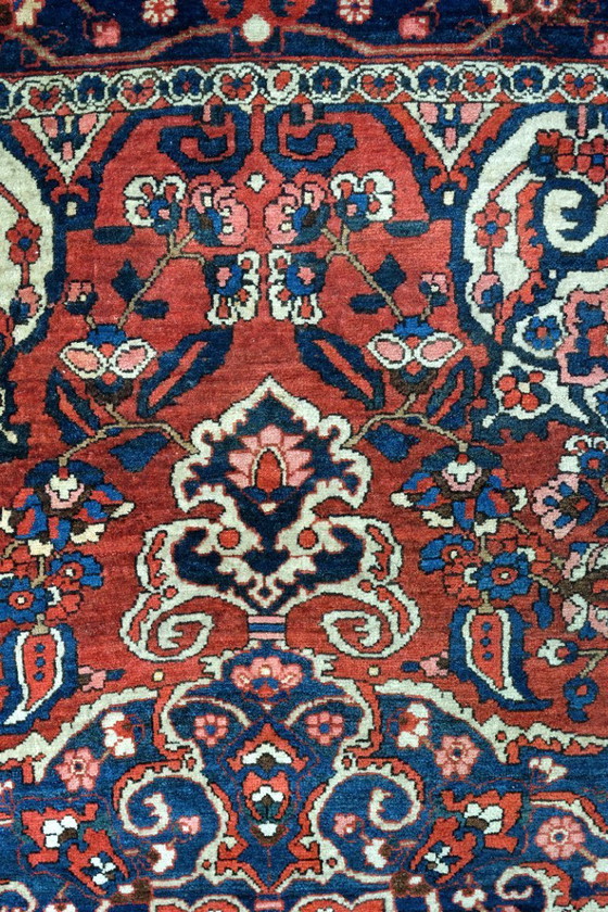 Image 1 of Beautiful Bachtiar from Iran