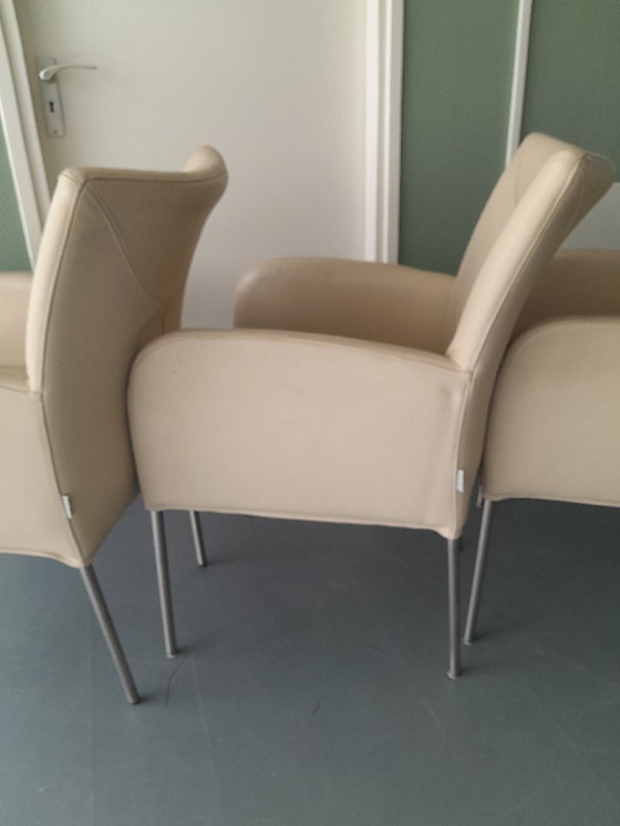 Image 1 of Plantagie Leer wit 6 stuks