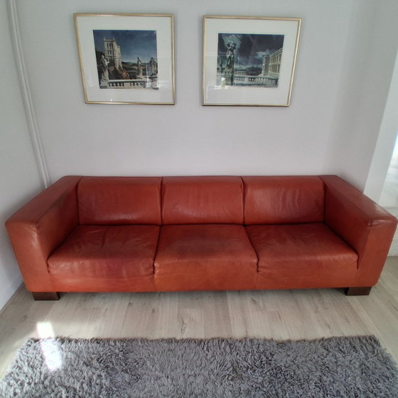 Divano Linteloo LA – Divani 3 posti, Pelle (photo 5 of 5)
