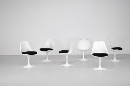 Set of Chairs Model "Tulip" by Eero Saarinen for Knoll, USA 1957