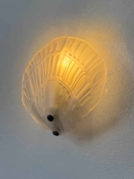 Image 1 of Paire d'appliques coquillages verre sablé, France, 1970