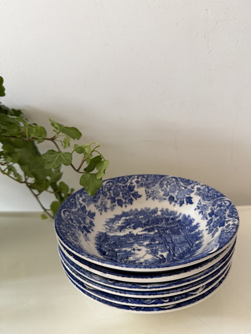 Vintage 6 Broadhurst Schüsseln – servies, Ceramic