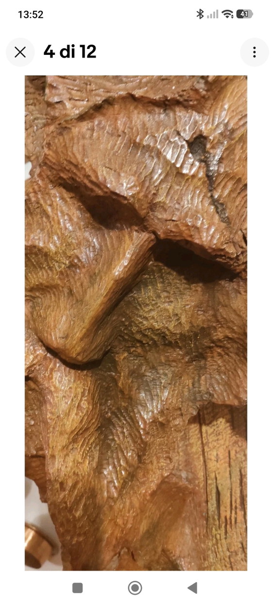 Olive Root Sculpture, Dating Back to 1980, Entitled "SACRED TOTEM" (Palazzo Barberini - Rome Exhibition 1981) (photo 4 of 12)