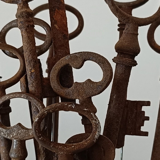 Image 1 of Les portes libérées