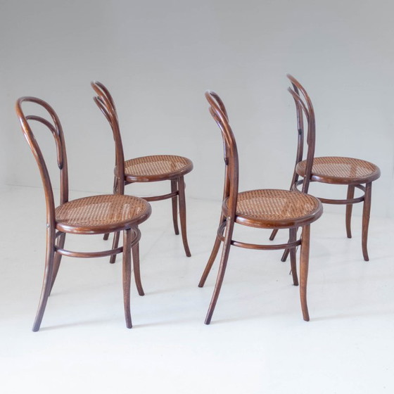 Image 1 of Set van vier eetkamerstoelen uit de jaren 1900, gemaakt van gebogen hout en riet door Josef Hoffmann, met label.