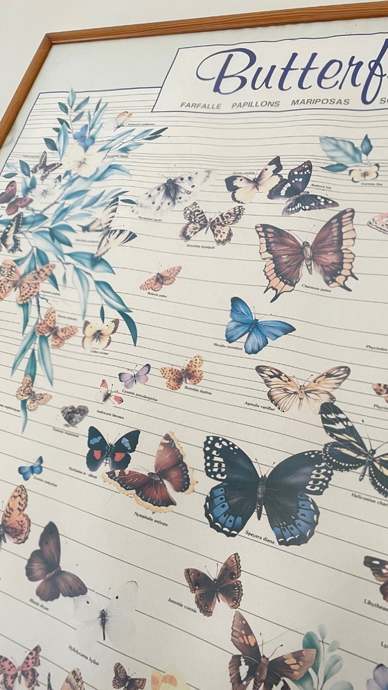 Image 1 of Poster vintage italiano con farfalle