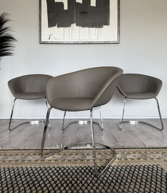 Image 1 of 4x Chaise Arper Duna Design by Lievore Altherr Molina, ca2014