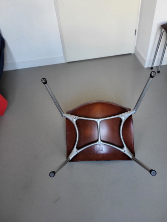 Image 1 of 4 sillas Driade Aleph Chameleon de Philippe Starck