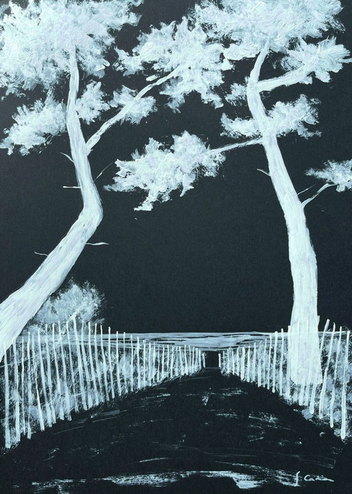 Acrylic on black paper 30x21cm. Natural wood frame.