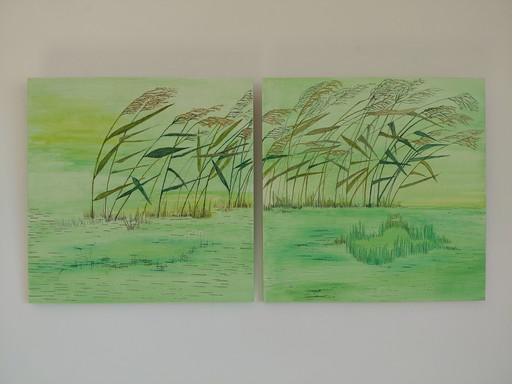 "Paysage magique de roseaux" Galerie Suncorner
