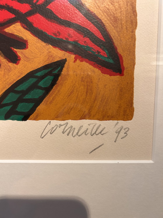 Image 1 of Corneille ‘93
