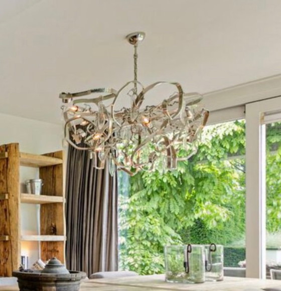 Image 1 of Brand van Egmond Delpinium