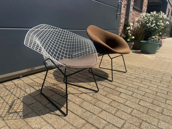 Originele Vintage Knoll Bertoia Diamand Chair TOPstaat!! – Fauteuils, Metal, Textile (photo 11 of 14)