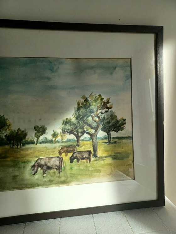 Image 1 of Serene watercolor with grazing cows – Bauwens ’36 – 43x52 cm”