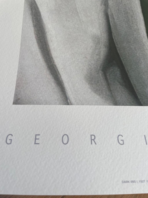 Georgia O'Keeffe (1887–1986), Dunkle Iris I, 1927, Copyright 1999– G. O'Keeffe/SOFAM Belgique editions Pierre D' Harville, Druck