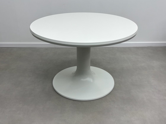 Ernst Moeckl "Kangaroo" Dining set '60 – Plastic (photo 3 of 15)