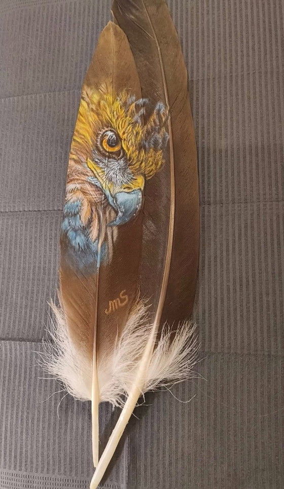 Image 1 of Sandra Melin Raptor Acrilico su piuma di tacchino nera