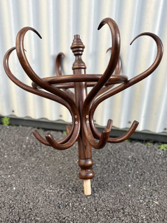 Image 1 of Garderobe Papagei