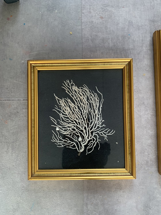 Image 1 of Cadres décoratifs anciens dorés (avant 1975)