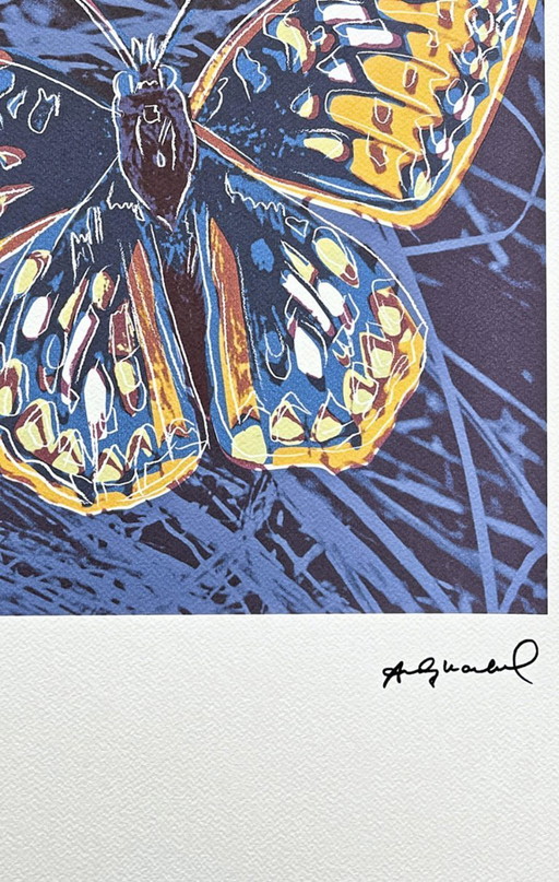 Naar Andy Warhol, Vlinder, jaren 1980, Lithografie – lithos zeefdrukken, Paper (photo 2 of 7)
