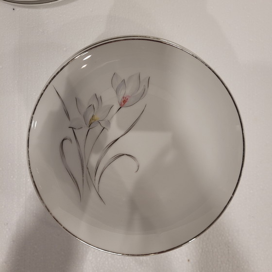 Image 1 of Vajilla de Porcelana Flores, Eschenbach, 55 Piezas, 50’s - Alemania
