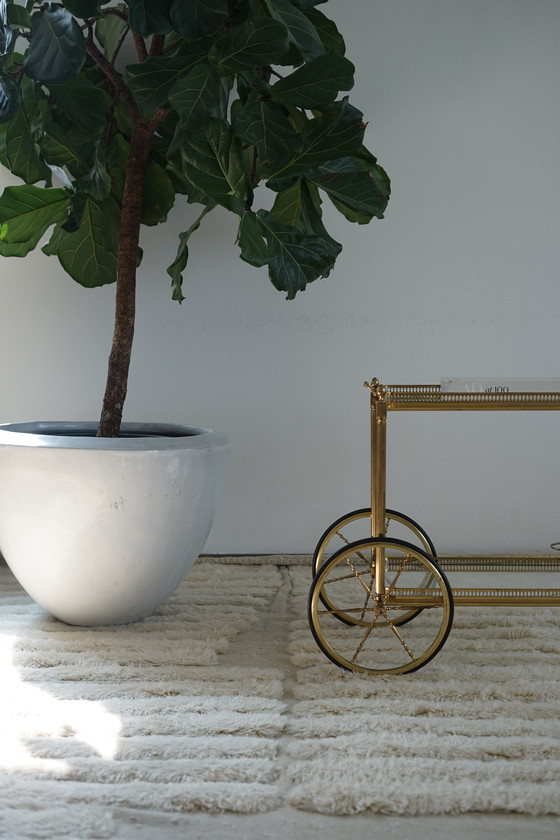 Image 1 of Bellissimo carrello da bar degli anni '50 in perfette condizioni