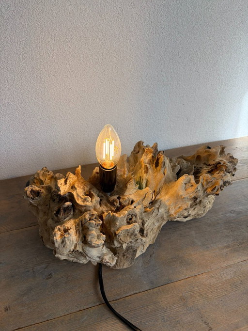Houten Driftwood Tafellamp – Natuurlijke Sculptuur – 40 cm