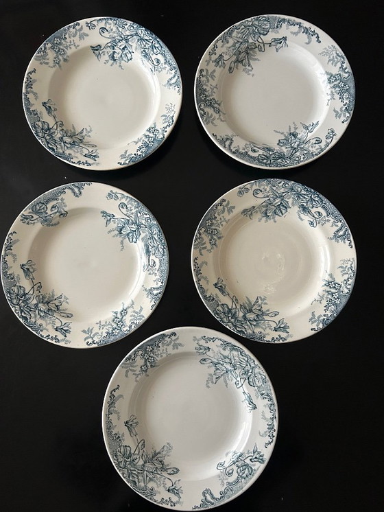 Image 1 of 13 Louis Graves Terre de Fer Cyclamen Soup Plates