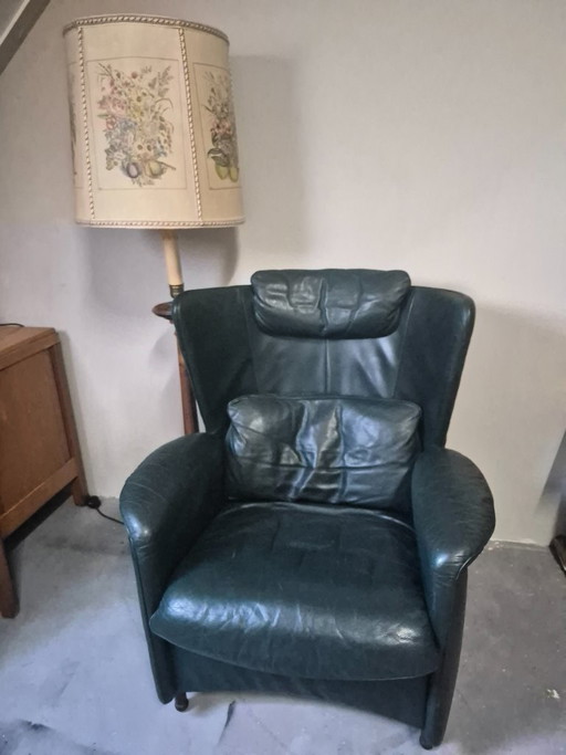 Fauteuil Green De Sede DS-23 – Leather (photo 2 of 10)