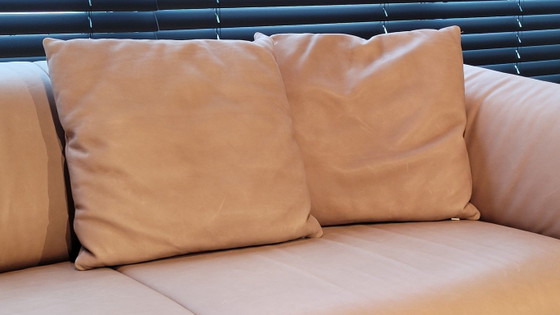 De Sede Bank DS-0276 2.5-Zits + 3-Zits – 3-5 seaters (photo 7 of 9)