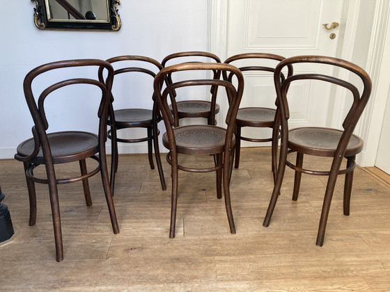 Image 1 of 6x Thonet Design No. 14 Chairs