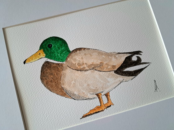 Originalgemälde „Ente und Erpel“ | Inklusive Rahmen – Gemälde & Zeichnungen, Paper (photo 5 of 5)