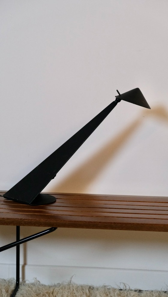 Image 1 of Toucan Lamps by Patrice Bonneau