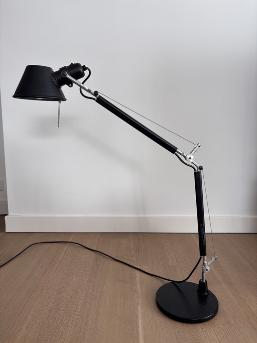 Artemide Tolomeo Micro Terra-lamp