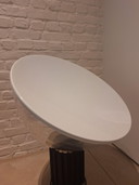 Flos Taccia