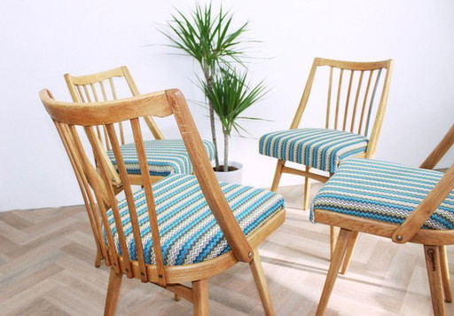 4x Chairs TON "Blue Stripes" (rayures bleues)