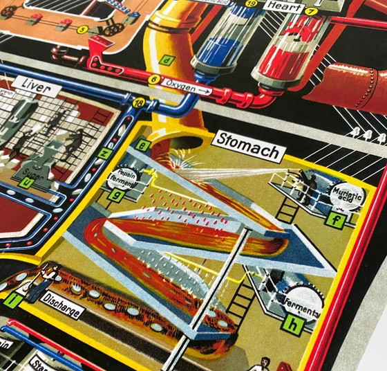 Image 1 of The human factory - Sketch of the body's functions - 1931 - Poster 61 x 91 cm