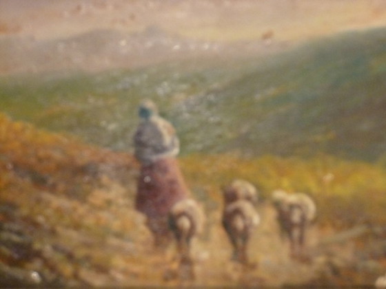 Image 1 of Olio su tavola: M. Ferran, "Paesaggio autunnale" (32 x 27)