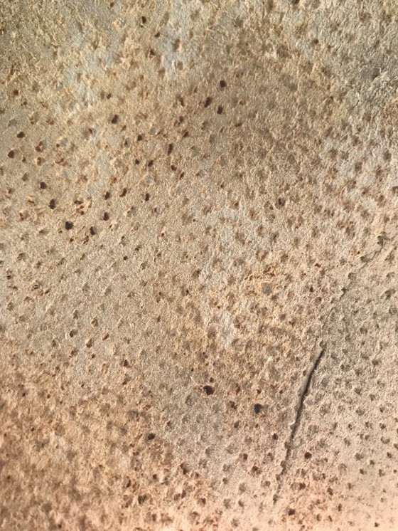 Image 1 of Piel de jabalí