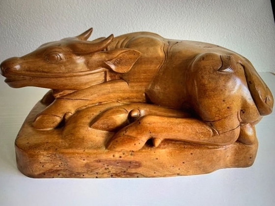 Image 1 of Water Buffalo from Indonesia “Unica”