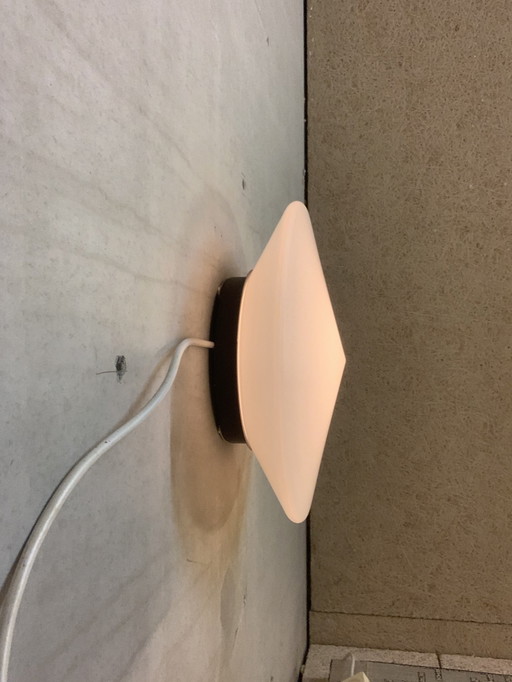 Discus van Raak Amsterdam B- 1411