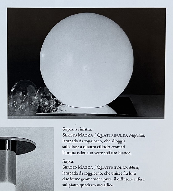 Image 1 of Lampe Micol Design de Sergio Mazza et Giuliana Gramigna pour Quattrifolio, 1971